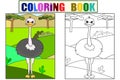 Children picture cartoon animal Safari. The common ostrich is walking in the clearing. Vector Coloring, black and white