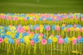 Children pinwheels on grass