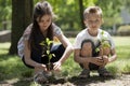 Children planting Royalty Free Stock Photo