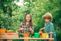 Children planting flowers in pot. Children farmer concept. Children play in spring garden.