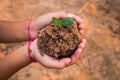 Children planting forests to reduce global warming.