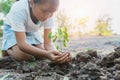 children planting young tree on soil in garden