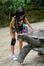 Children play with the giant turtle