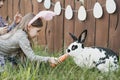 Children play with real rabbit. Laughing child at Easter egg hunt with white pet bunny. Little toddler girl playing with animal in Royalty Free Stock Photo