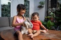 Children play with real rabbit. Little baby girl playing with animal in the house