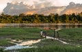 Children play on the river bank Royalty Free Stock Photo