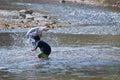 Children play splashing water in the natural creek.