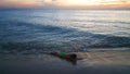 Children playing on the beach at sunset. sea, Travel and vacation concept, Summer time concept