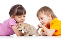 Children playing with cat kitten Royalty Free Stock Photo