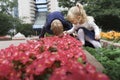 Children playing in the city park looking at flowers with a magnifying glass Royalty Free Stock Photo