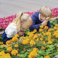 Children playing in the city park looking at flowers with a magnifying glass Royalty Free Stock Photo