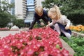 Children playing in the city park looking at flowers with a magnifying glass Royalty Free Stock Photo