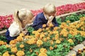 Children playing in the city park looking at flowers with a magnifying glass Royalty Free Stock Photo