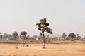 Children playing in the field of cricket. Landscape in India Royalty Free Stock Photo