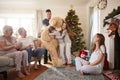 Children Playing With Giant Teddy Bear As Multi-Generation Family Open Gifts On Christmas Day Royalty Free Stock Photo