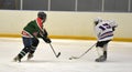 Children playing hockey