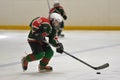 Children playing hockey