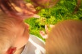 Children playing on meadow examining field flowers Royalty Free Stock Photo