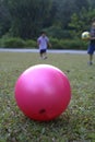 Children playing outdoors