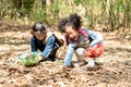 Little kids Explorer Hiking in Forest