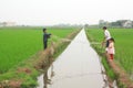 Children are playing in the paddy field in the countryside of the North of Vietnam Royalty Free Stock Photo