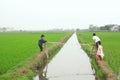 Children are playing in the paddy field in the countryside of the North of Vietnam Royalty Free Stock Photo