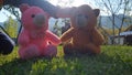 Children playing with teddy bear in a park. Body parts of Kids seems playing with toys. Children often express emotions and