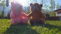 Children playing with teddy bear in a park. Body parts of Kids seems playing with toys. Children often express emotions and