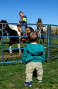 Children and ponies at the farm Royalty Free Stock Photo