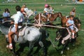 Children on a pony ride