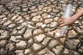 Children pour water on the arid ground. Royalty Free Stock Photo