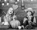 Children presenting farm harvest wooden background. Reasons why every child should experience farming. Farm market