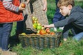 Children putting apples inside of basket with fruit Royalty Free Stock Photo