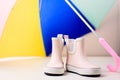 Children rain boots. Royalty Free Stock Photo