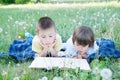 Children reading book lying on stomach outdoor among dandelion in park, cute children education and development. Back to school co Royalty Free Stock Photo