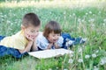 Children reading book in park lying on stomach outdoor among dandelion in park, cute children education and development Royalty Free Stock Photo