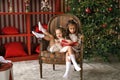 Children are reading Christmas book, sitting in chair by the Xmas tree Royalty Free Stock Photo