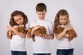 Children with red puppies isolated on white background. Kid Pet Friendship Royalty Free Stock Photo