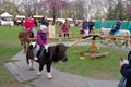 Children riding ponies