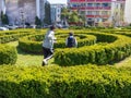 Children run in a maze of bushes. Landscaping. Lawn in the park. Park area Royalty Free Stock Photo