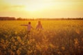 Children run on a rye field. Brother and sister run across the field holding hands. Sunset light in summer field. Image Royalty Free Stock Photo