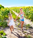 Children running across sunflower field outdoor. Royalty Free Stock Photo