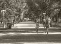 Children running around in the park