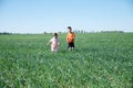 Children running in field on green grass at summer, happy smiling two kids - brother and sister Royalty Free Stock Photo