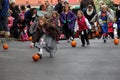 Children running after pumpkins during Pumpkin roll,Saratoga Springs,New York,2013