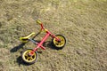 Children`s balance bike with a red frame lies on the spring lawn in the park. Active holidays with the whole family