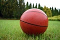 Children`s basketball ball lying on the grass on a sunny summer day. Royalty Free Stock Photo