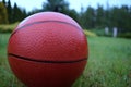 A children`s basketball wet with rain lying on the grass. Royalty Free Stock Photo