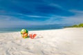 Children's beach toys in soft sand, sea view. Family vacation template. Kids summer Royalty Free Stock Photo