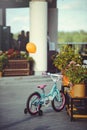 Children`s bicycle with a ball parked, the happiness of a child.